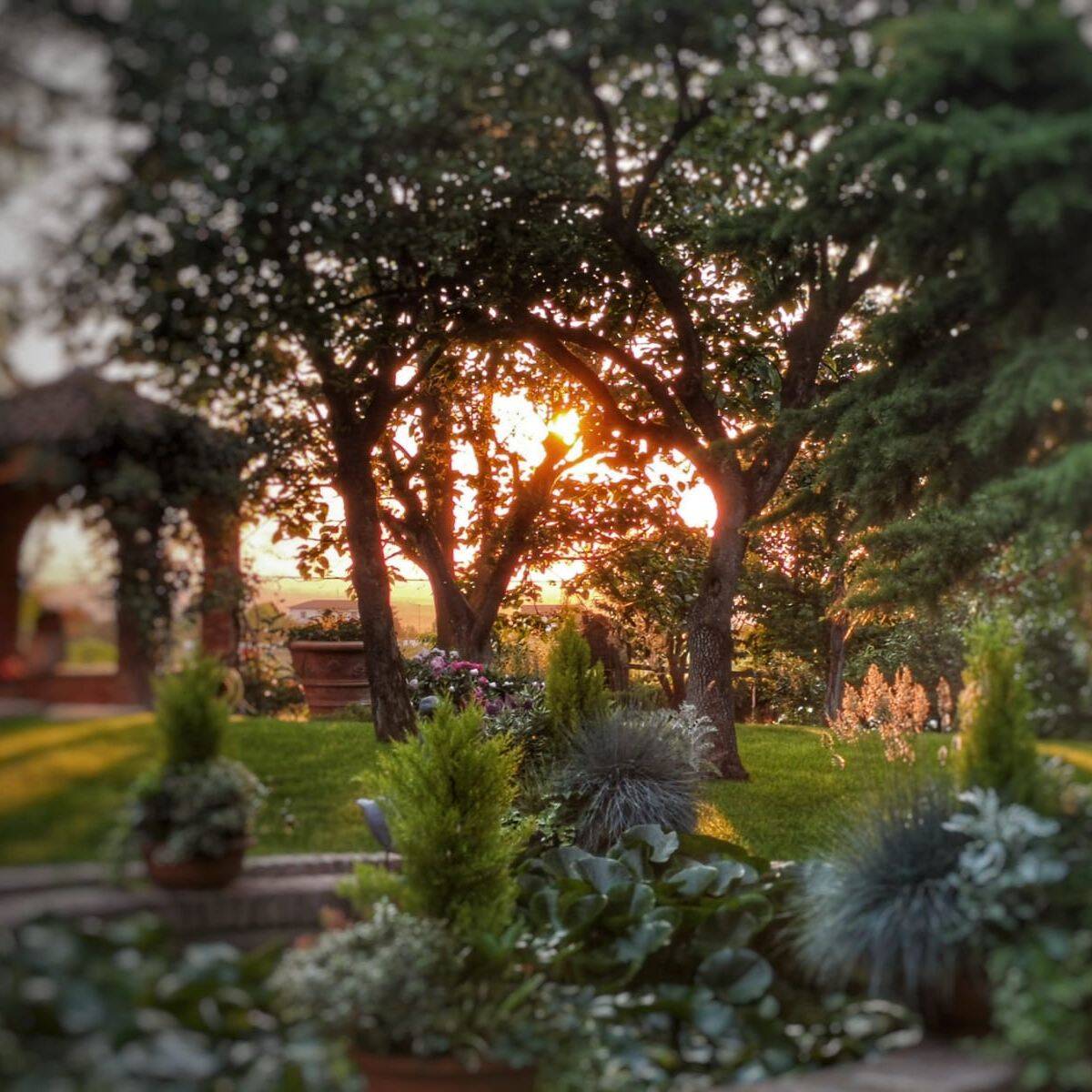 Il Giardino Segreto al tramonto, tra gli alberi con il gazebo sullo sfondo
