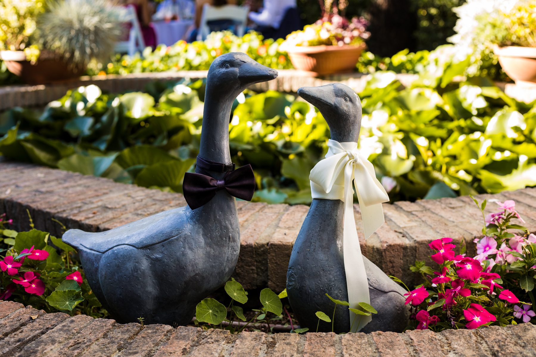 Due oche di bronzo con papillon e fiocco tra aiuole fiorite nel giardino di Romito